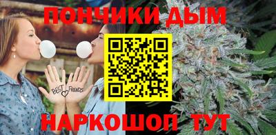 гидропоника Гатчина
